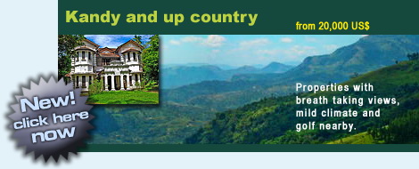 Kandy Property