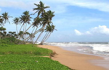 Real estate at beach in in Sri Lanka