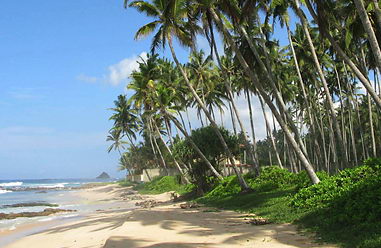 Real estate at beach in in Sri Lanka