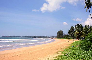 Real estate at beach in in Sri Lanka