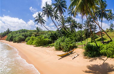 Real estate at beach in in Sri Lanka