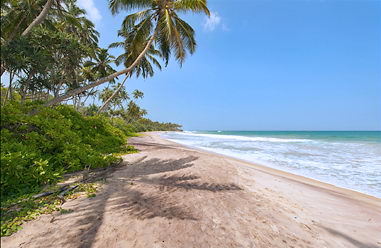 Real estate at beach in in Sri Lanka