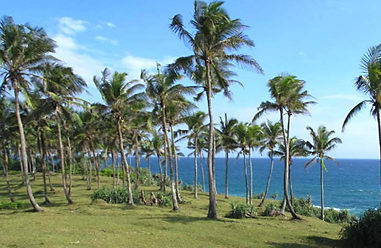 Real estate at beach in in Sri Lanka