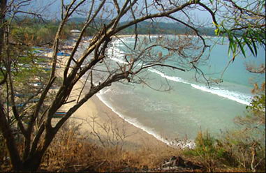 Real estate at beach in in Sri Lanka