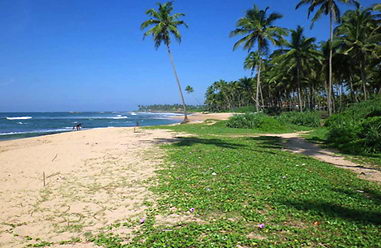 Real estate at beach in in Sri Lanka