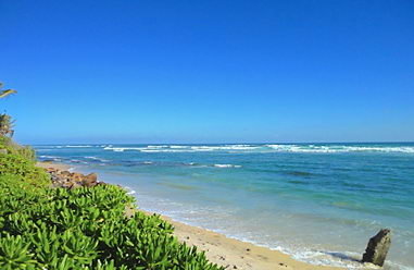 Real estate at beach in in Sri Lanka