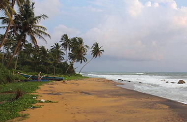 Real estate at beach in in Sri Lanka