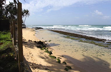 Real estate at beach in in Sri Lanka