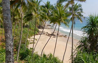 Real estate at beach in in Sri Lanka