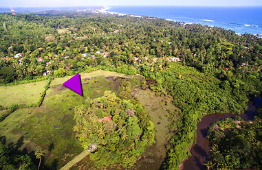 Real estate at beach in in Sri Lanka