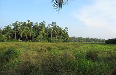 Real estate at beach in in Sri Lanka