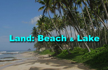Land: Beach and Lake