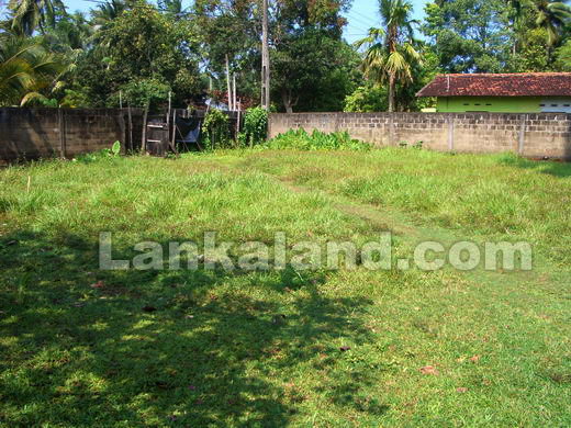 sri Lanka land sale