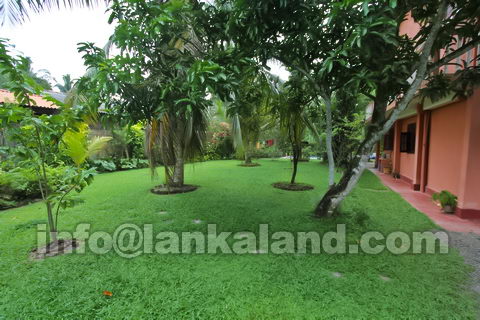 Holiday Home Sri Lanka Property