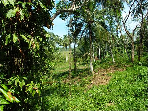 Hikkaduwa near Beach land for sale