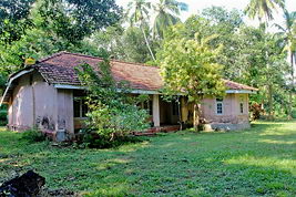 Plantation land Unawatuna Galle for sale
