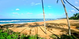 beach land for sale sri lanka