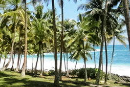 Hotel plot Sri Lanka Beach