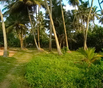 sri lanka beach property