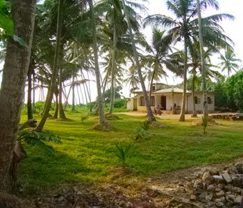sri lanka beach property