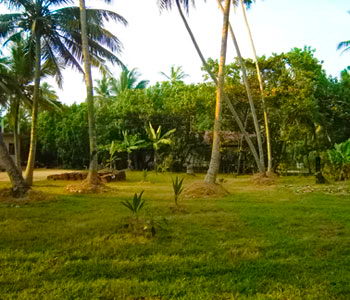 sri lanka beach property