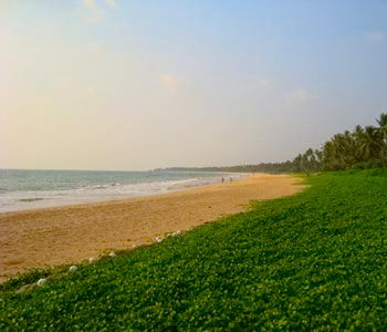 sri lanka beach property