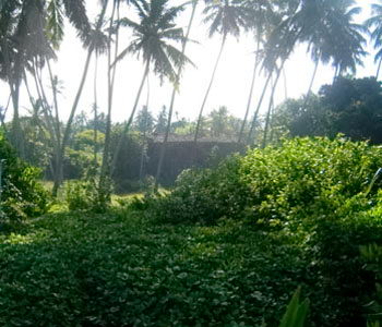 sri lanka beach property