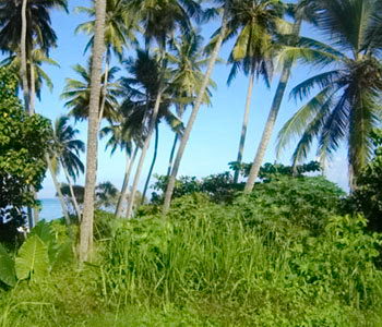 sri lanka beach property