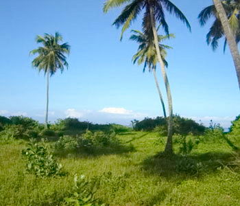 sri lanka beach property