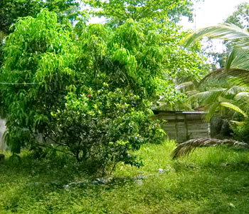 sri lanka properties