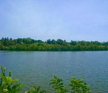 sri lanka properties