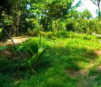 sri lanka properties