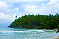Beach House
