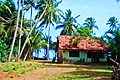 Beach House