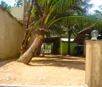 Galle Unawatuna Talpe Kogalla Beach