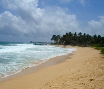 Galle Unawatuna Talpe Kogalla Beach