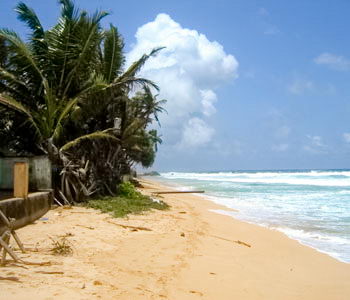 Galle Unawatuna Talpe Kogalla Beach