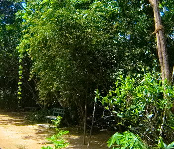 Galle Unawatuna Talpe Kogalla Property
