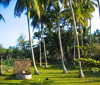 Galle Unawatuna Talpe Kogalla Property