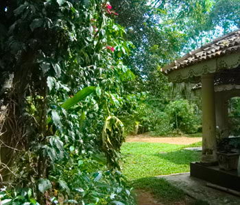 Galle Unawatuna Talpe Kogalla Property