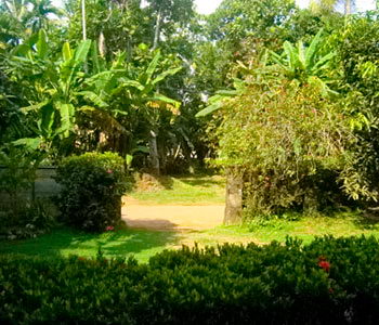 Galle Unawatuna Talpe Kogalla Property