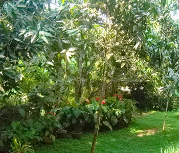 Galle Unawatuna Talpe Kogalla Property