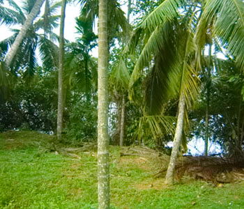 Galle Unawatuna Talpe Kogalla Property