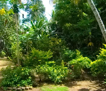 Galle Unawatuna Talpe Kogalla Property