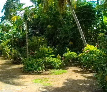 Galle Unawatuna Talpe Kogalla Property