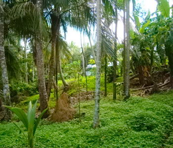Galle Unawatuna Talpe Kogalla Property