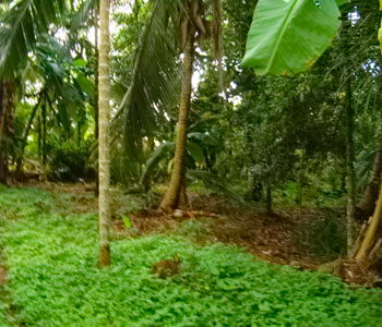 Galle Unawatuna Talpe Kogalla Property