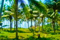 Hikkaduwa Real Estate