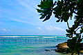 Matara Properties