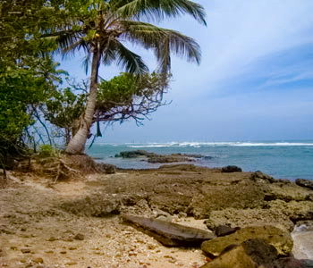 Sri Lanka Retirement